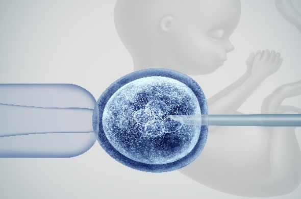 东莞有偿捐卵地址