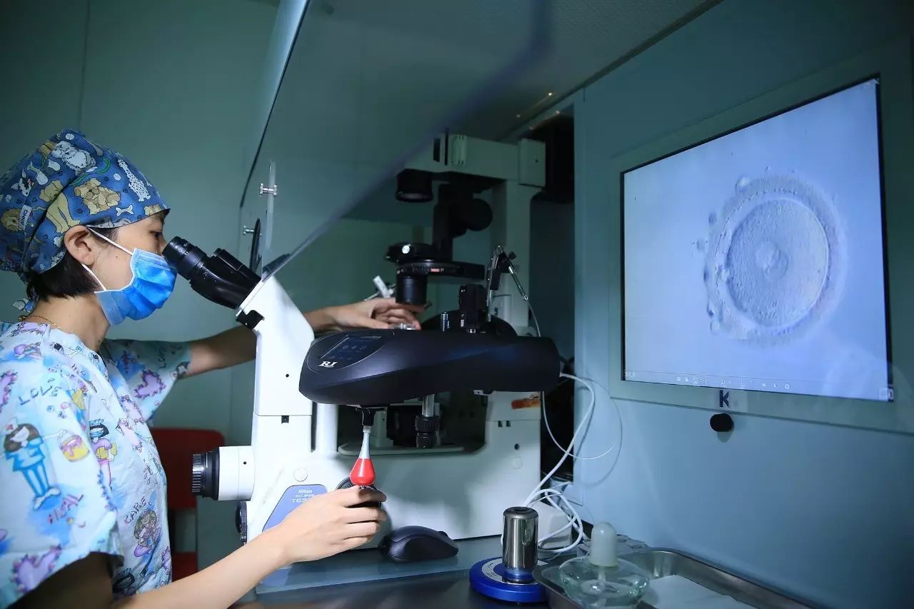 上海添一代怀孕