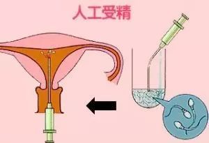 上海添一代怀孕妈妈