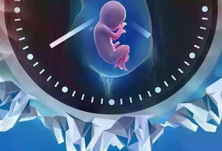 上海喜贝代怀孕